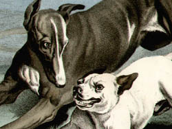 Detail of First Game