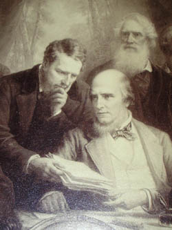 Atlantic Cable Projectors