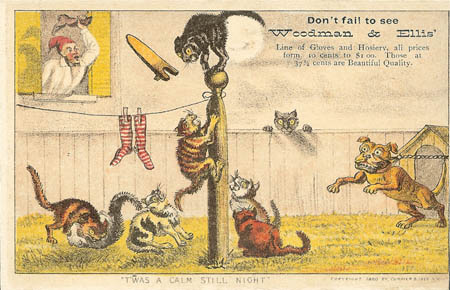 Twas a Calm Still Night