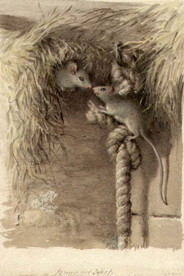 Plumb Mice