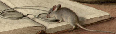Mice on Library Books