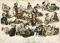 Natural History Collectors Caricature - Matters of Taste No. 1