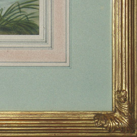 Corner of the frame