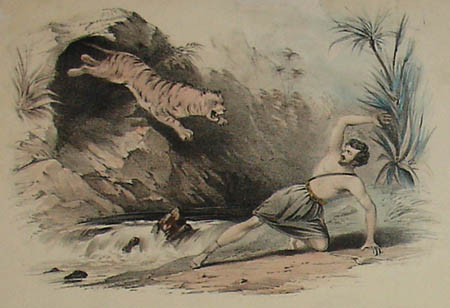 Performances of Mr. Carter, the American Lion King