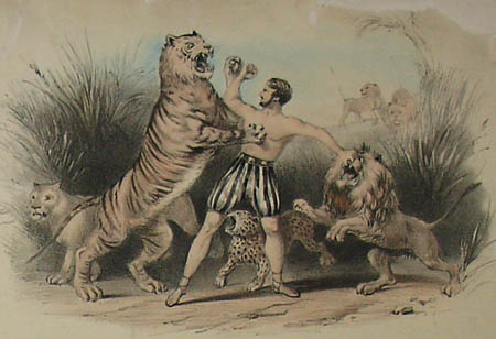 Performances of Mr. Carter, the American Lion King