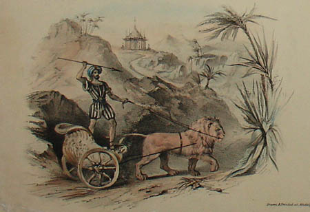 Performances of Mr. Carter, the American Lion King