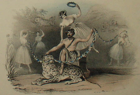 Performances of Mr. Carter, the American Lion King