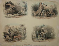 Performances of Mr. Carter, the American Lion King