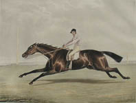 Conolly on Coronation