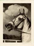 Stubbs Horse Mezzotint Engravings