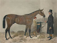 Pair of Racehorse prints