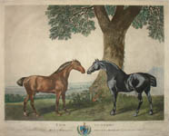 Stubbs Two Hunters Mezzotint