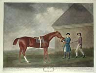 Stubbs Horse Eclipse