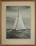 Spring Off Soundings Race, Esprit Yacht, 1960, photograph