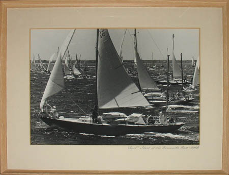 Seal, Start at the Bermuda Race, 1958