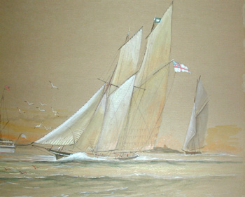 Yacht Race Detail