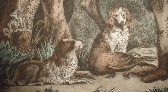 Morland Woodcock and Pheasant Shooting