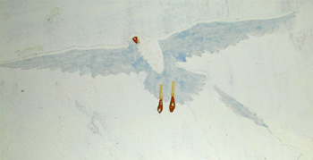 Palm Beach Life Detail