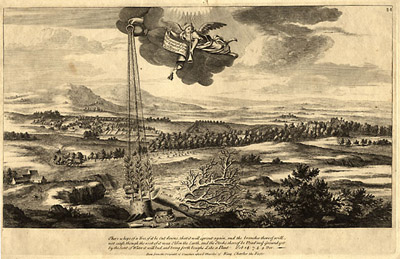 King Charles II Royal Oak Tree