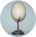 Ostrich Egg on Stand