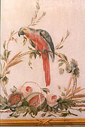 parrot mural