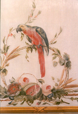 Parrot wall painting