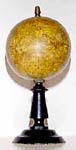 Forest Table Globe