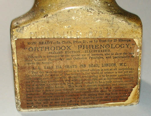 Vago Phrenology Bust detail