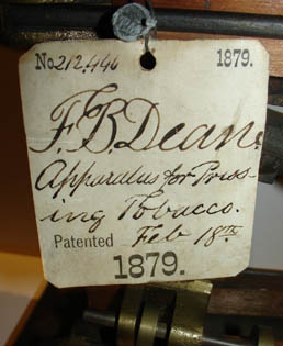 Vago Phrenology Bust Side