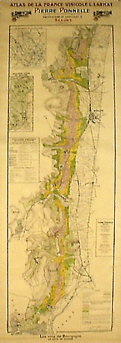 Burgundy Wine Map