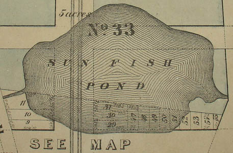 Large Map of Midtown Manhattan