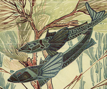 Les Algues, Plate 26