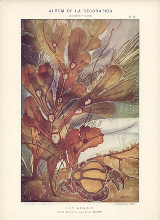 Les Algues, Plate 32