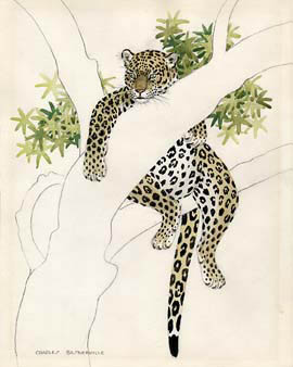 Baskerville Leopard