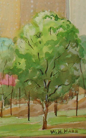Central Park