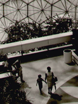 Geodesic Dome Interior