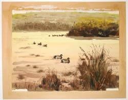 Duck Pond