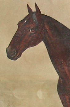 Detail of Horse