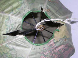Betts Umbrella