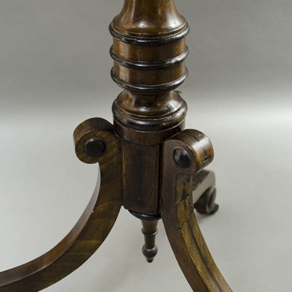 G.F. Cruchley 12-Inch Terrestrial Floor Globe, detail