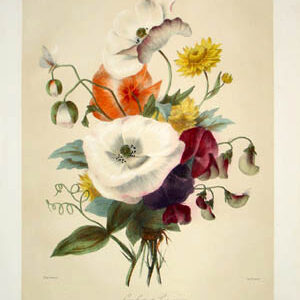 Elisa Honorine Champin Bouquets