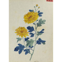 Chinese Export Botanical Painting