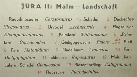 Dinosaurs of the Jurassic Period