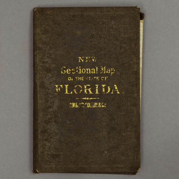 Colton New Sectional Map of the State of Florida, pocket map, detail