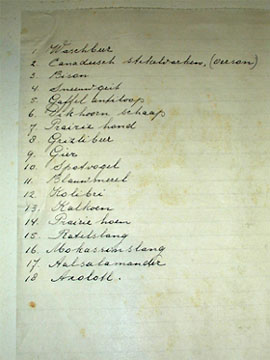 North American Animals