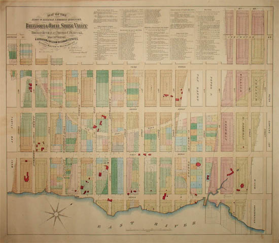 Map of Beekman Hill, Large