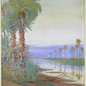 Landscape with Palm Trees