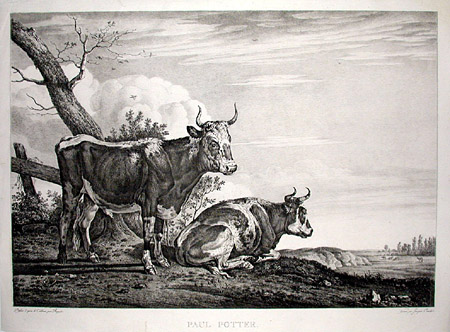 Cattle in the Landscape