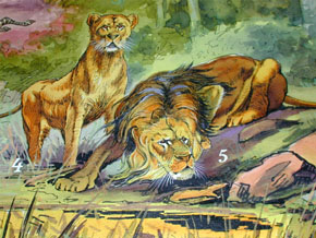 Detail of Ethiopisch Fauna II