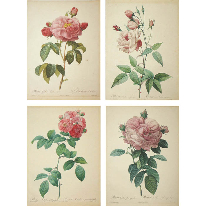 Framing Home & Hobby Botanical Print Pink Roses Vintage Roses Vintage ...